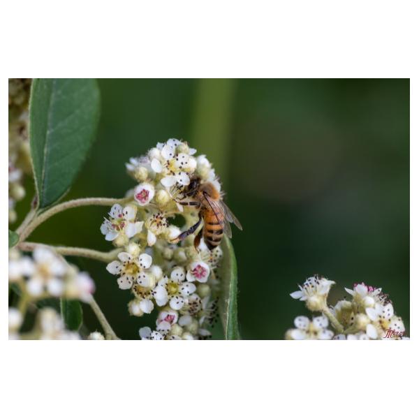 PHOTO84, CLUB, 84 , LUBERON